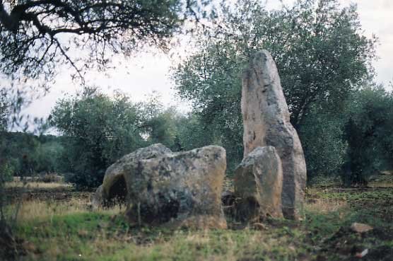 el-cabezo-terrazo